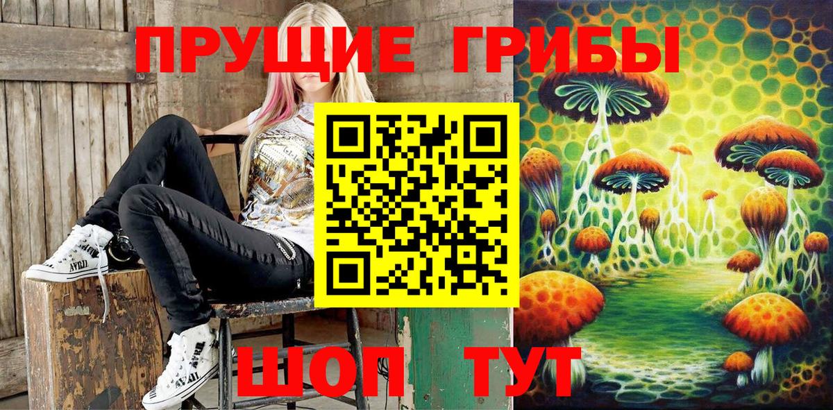Псилоцибиновые грибы MAGIC MUSHROOMS  Вход с VPN  Кизилюрт 