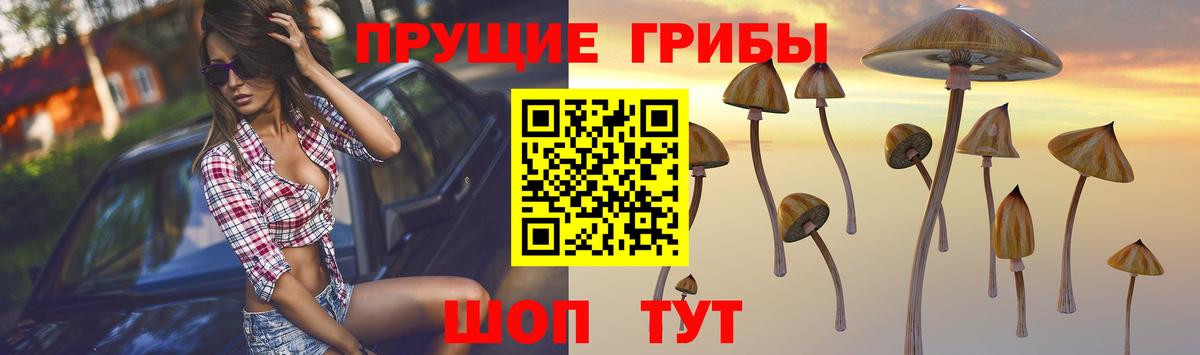 Псилоцибиновые грибы прущие грибы Кизилюрт